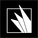 Florida Polytechnic University logo